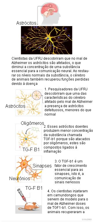 imagem.jpg
