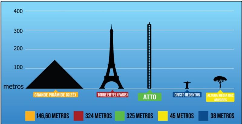 torreatto-infografico-fapeam.jpg