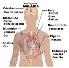 materia_malaria.png