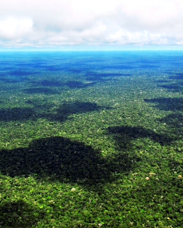 Biodiversidade e as ciências básicas