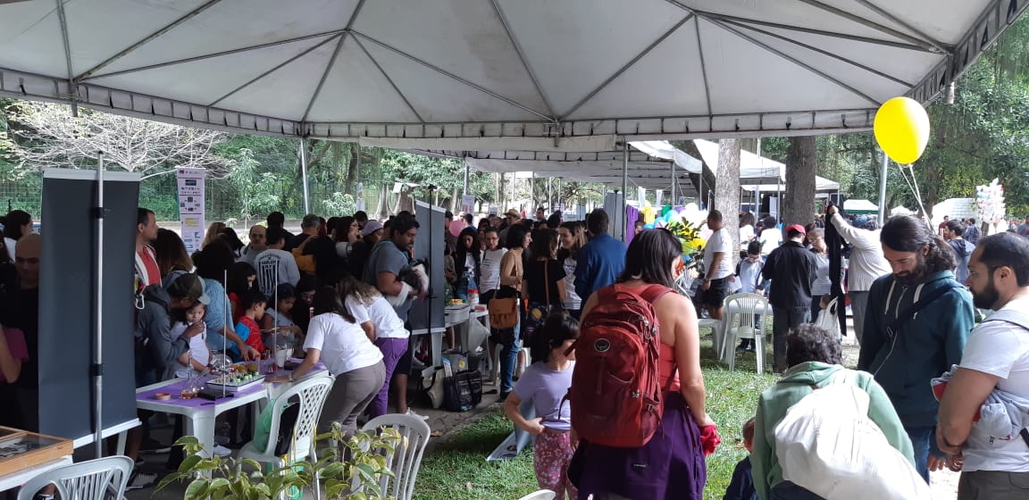 Atividades do evento "Domingo na Quinta", no Rio de Janeiro