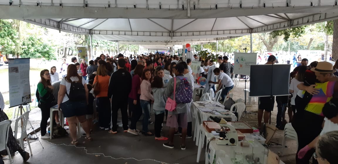 Atividades do evento "Domingo na Quinta", no Rio de Janeiro