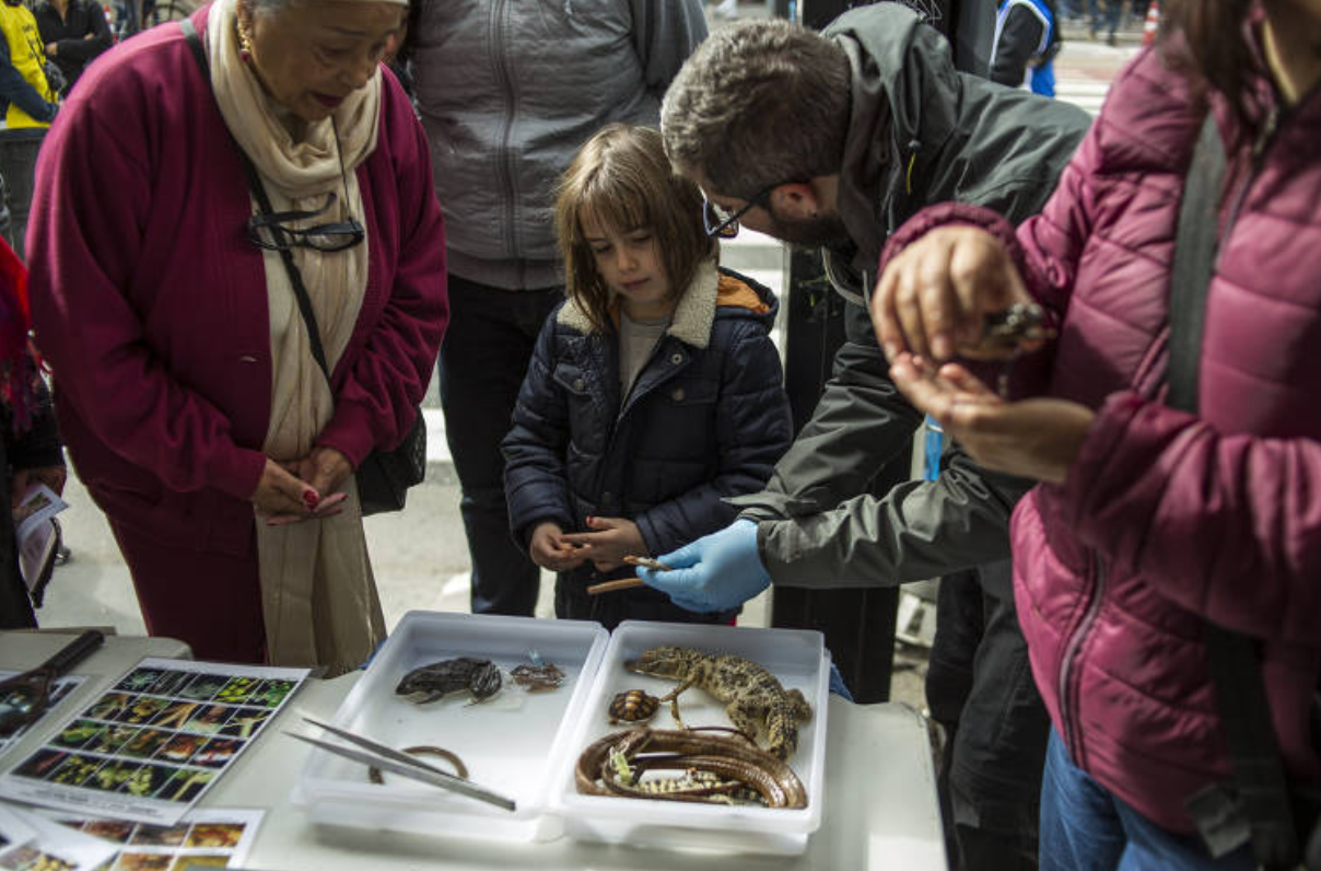 Marcha pela Ciência em São Paulo (Jardiel Carvalho / Folhapress)