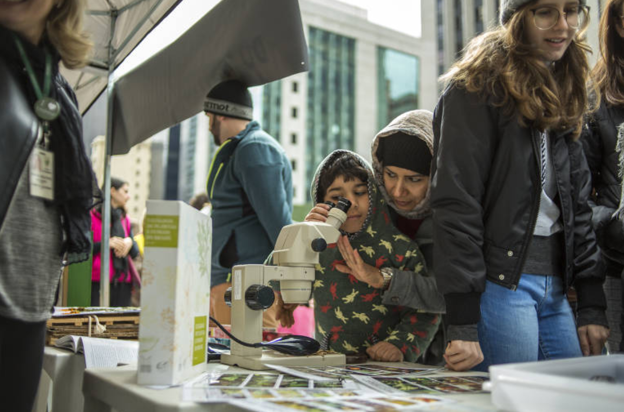 Marcha pela Ciência em São Paulo (Jardiel Carvalho / Folhapress)